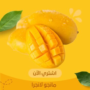 مانجو لانجرا – مذاق ملكي ونكهة لا تُقاوم